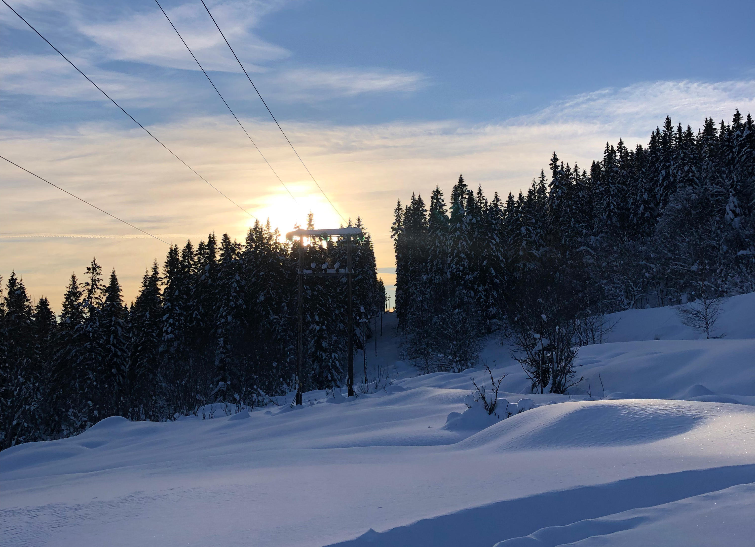 Naturbilde av strømlinje. Foto: Ringerikskraft