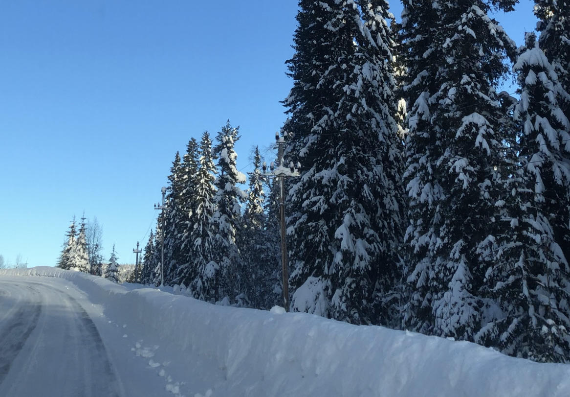 Naturbilde av strømlinje. Foto: Ringerikskraft